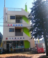 素泊り民宿いわかわ <屋久島>