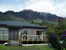 素泊まりの宿 やくさば <屋久島>