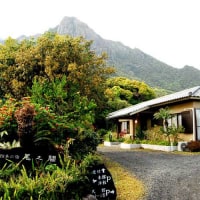 屋久島 四季の宿 尾之間 <屋久島>