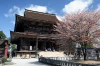総本山 金峯山寺 蔵王堂
