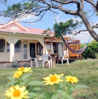 種子島 民宿 友悠