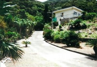 民宿 さんご <鹿児島県・奄美大島>