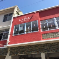 The LANAI HOSTEL ラナイ ホステル