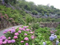美咲花山園