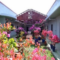 パティオ ハウスリーフ <座間味島>