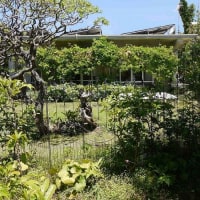 maison_MG <宮古島>