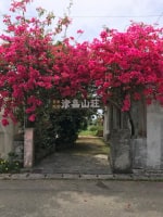 農家民宿 津嘉山荘 <宮古島>