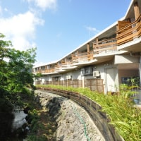 西表島ジャングルホテル パイヌマヤ