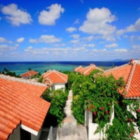 Yugafu-yamabare <石垣島>