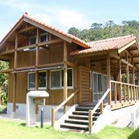 イルンティ フタデムラ <西表島>