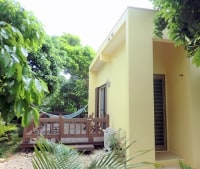 夏至南風 <石垣島>