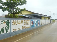 月桃ムーンピーチ<南大東島>