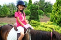 美馬森 八丸牧場