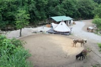 ゼロ村牧場パカラッチョ!!