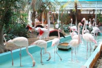 シーフードレストラン メヒコ 郡山フラミンゴ館