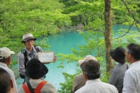 ナチュラルビズ