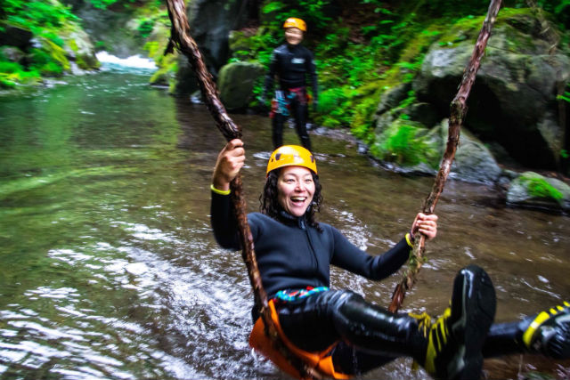 Nikko Jumboの写真1