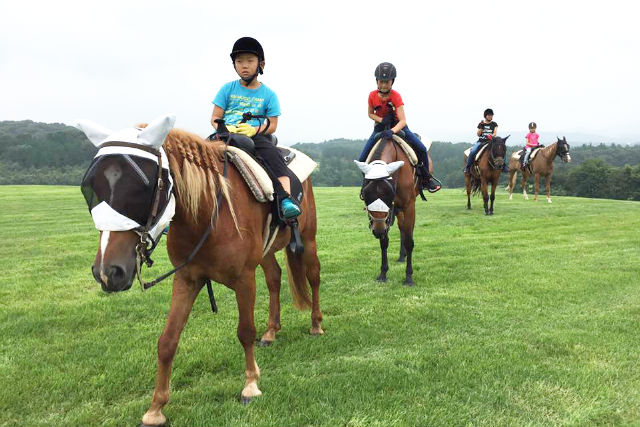 アイランドホースリゾート那須の写真1