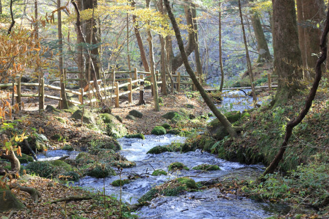 ほたるの里の食彩処 思源の写真1