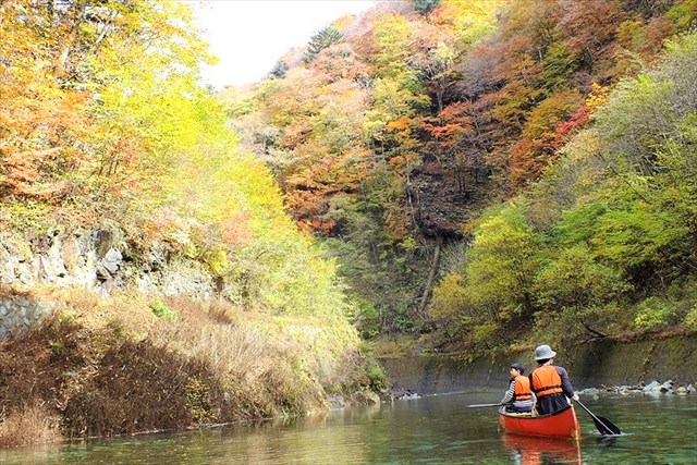 グリーンディスカバリーの写真1