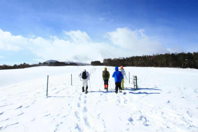 浅間牧場スノーパラダイス アスパラの写真1