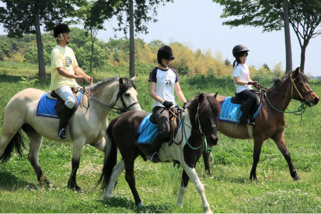 ライディングクラブWINDSの写真1