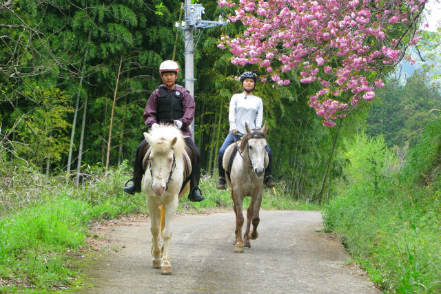 風来里馬小屋の写真1