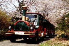 チャチャワールドいしこしの写真1