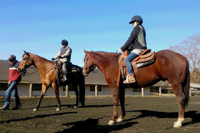 エバーグリーンホースガーデンの写真1