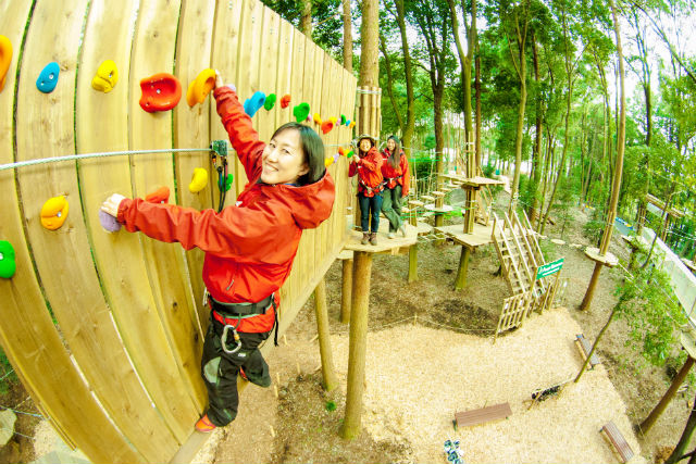 フォレストアドベンチャー・千葉の写真1