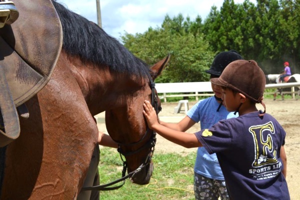 乗馬クラブ 千葉ライディングパークの写真1