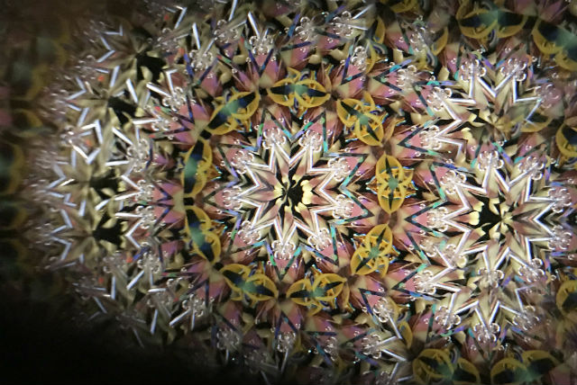 まんげ鏡や 神田教室の写真1