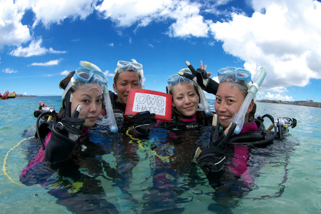 ダイビングスクール マレア東京の写真1