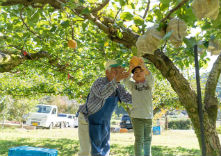 土本観光果樹園の写真1
