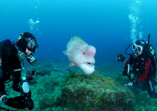 Urban Sportsの写真1