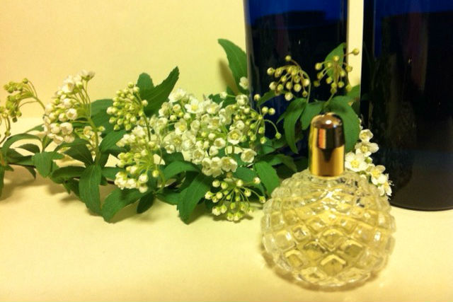 アロマフレグランス調律協会の写真1