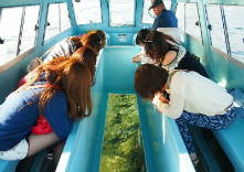 新原海底観光センターの写真1