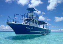 Marine Shop ヤビジの写真1