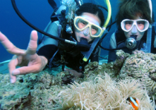 アークダイブの写真1