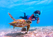 エコガイドカフェの写真1