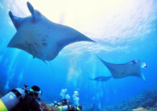 うみの教室の写真1