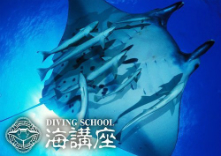 ダイビングスクール 海講座の写真1