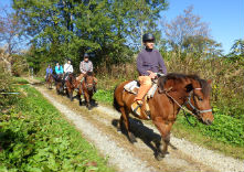 ひるがのホープロッジ / ひるがの高原木曽馬牧場の写真1