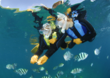 マリンクラブナギの写真1