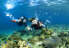 沖縄 青の洞窟てぃんの写真1