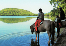 メジェールファームの写真1