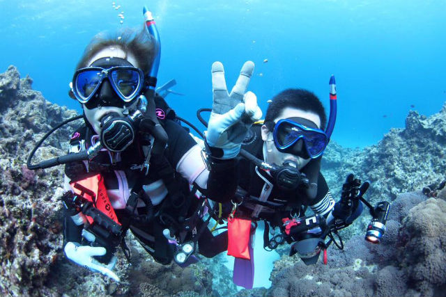 ダイビングスクール マレア池袋の写真1