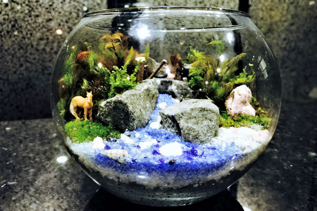 カルチャースクールいろはの写真1