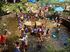 しゃくなげの森の写真1