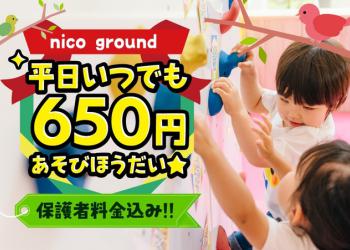 NICOPAなるぱーく店 キッズパークの写真1